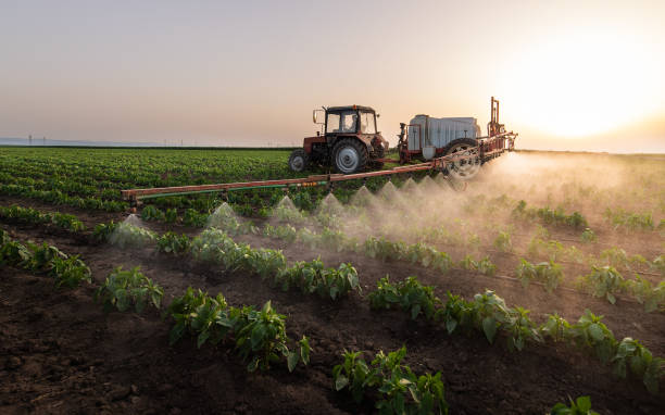 Best Commercial Pest Control Services  in Murphys Estates, SC