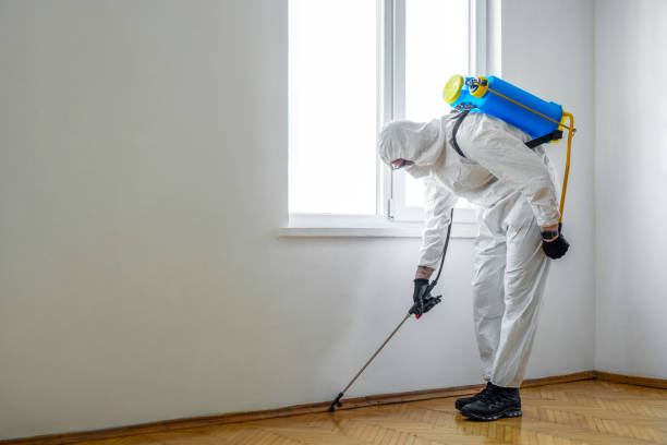Pest Control for Restaurants in Murphys Estates, SC