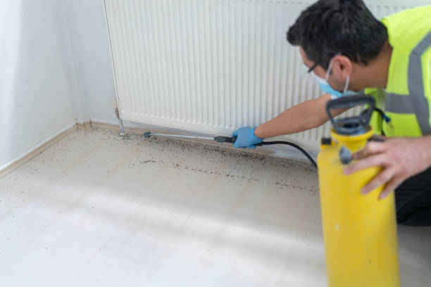 Best Residential Pest Control  in Murphys Estates, SC