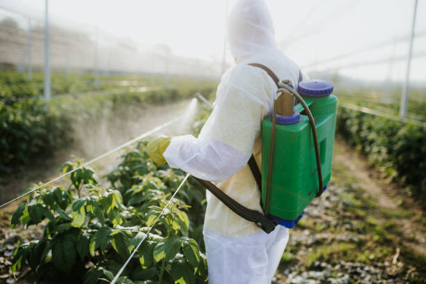 Best Affordable Pest Control Services  in Murphys Estates, SC